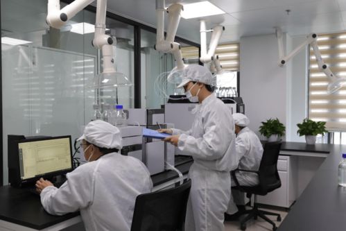 鴻湖膜業自主研發自動化裁切設備，以技術創新驅動調光膜應用拓展